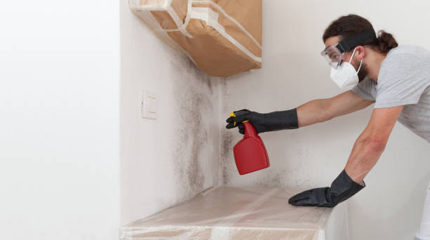 Professional Basement Mold Remediation technician working in Partlow, VA