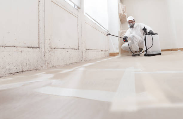 24/7 Emergency Basement Mold Remediation experts in Partlow, VA