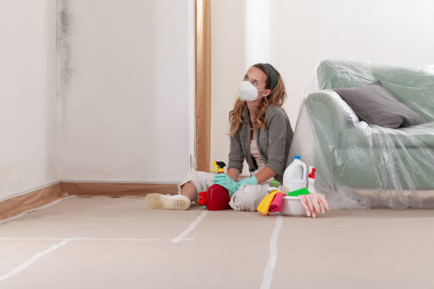 Reliable Basement Mold Remediation contractor in Partlow, VA by WQB Mold Removal